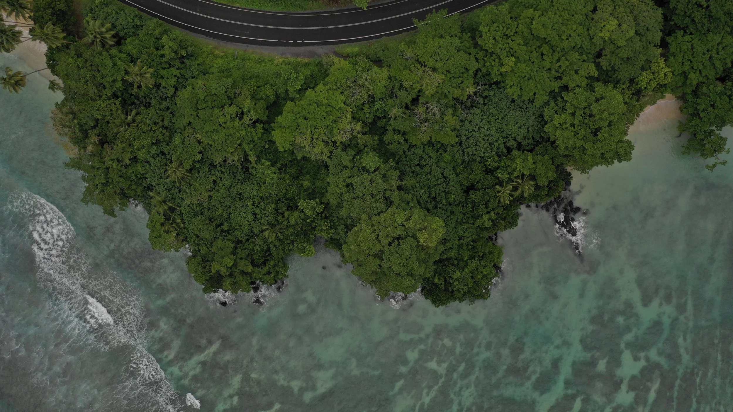 An aerial view of a densely wooded island with lush green trees, surrounded by turquoise ocean water and a section of dark asphalt road at the top of the image.