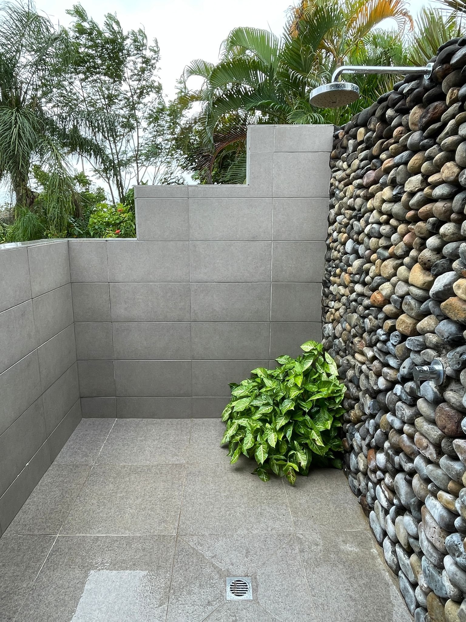 An outdoor shower with a stone wall background, surrounded by green plants and trees, with tiled flooring and a drain in the floor.