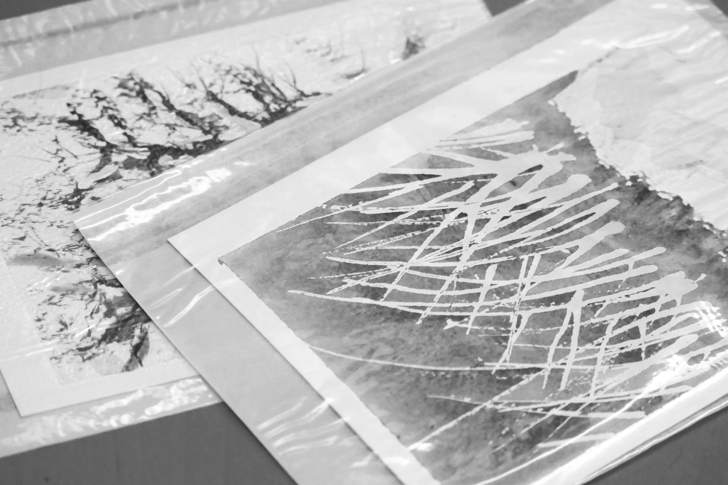 Watercolour experimentation in black and white using masking fluid
