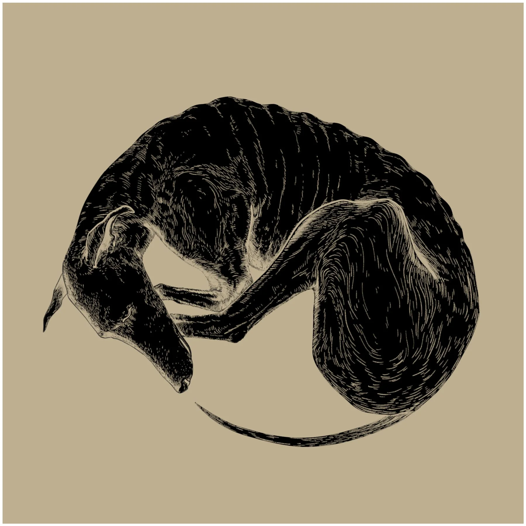 Album cover.jpg