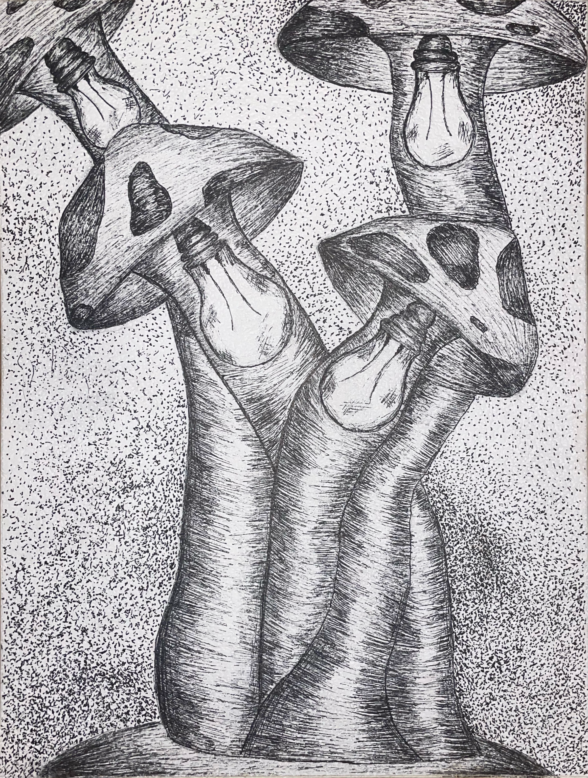 mushrooms.png