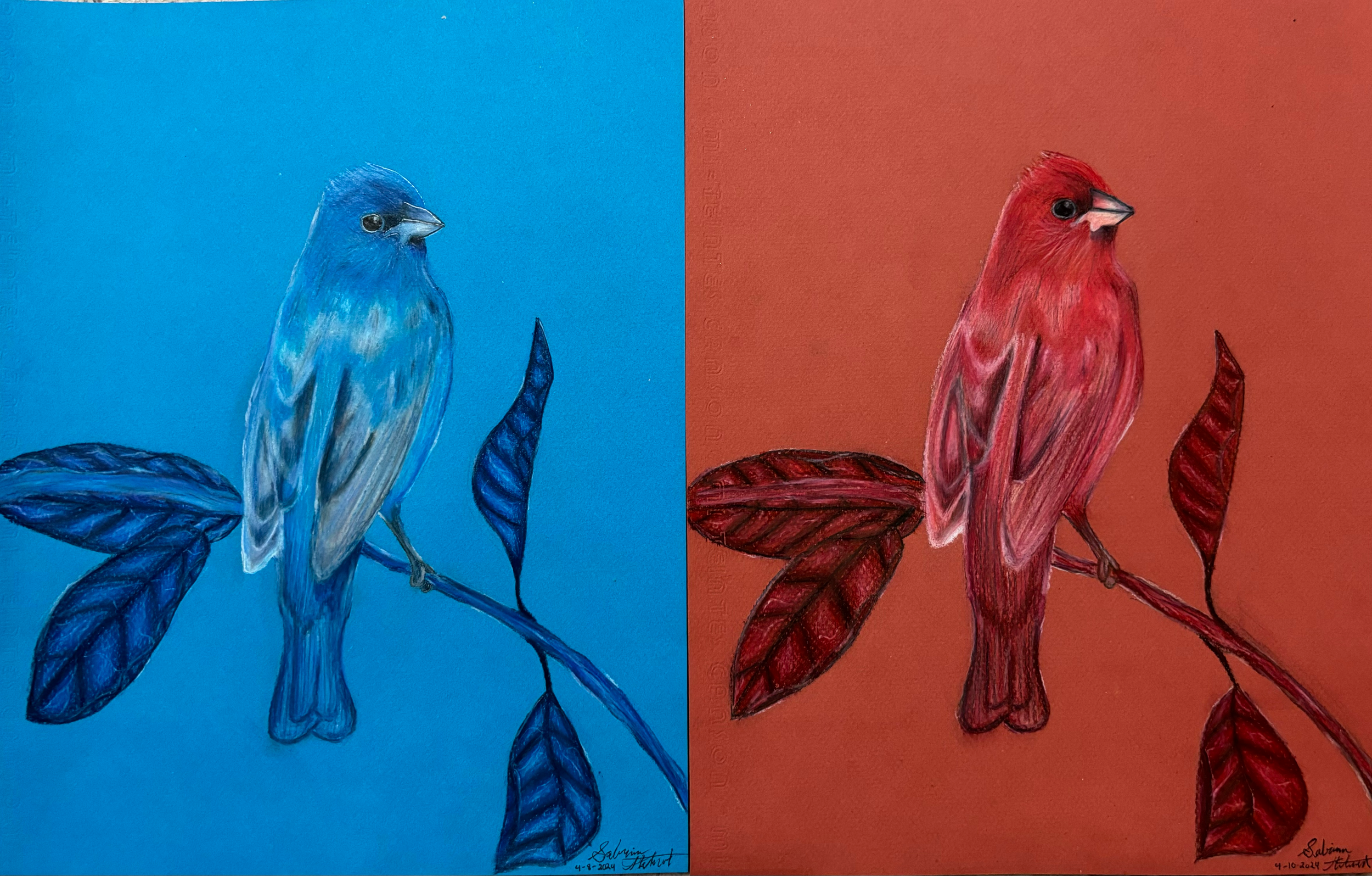 birds.png