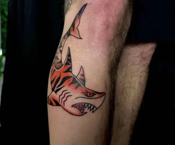 Britt's Tiger Shark.webp