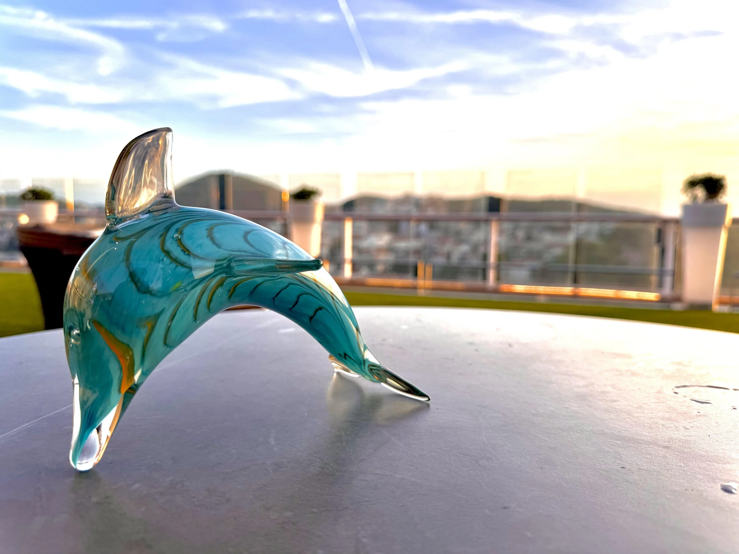 dolphinglass.jpg