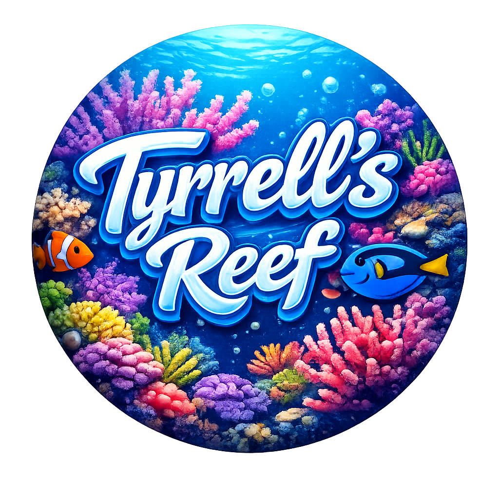 Tyrrels Reef