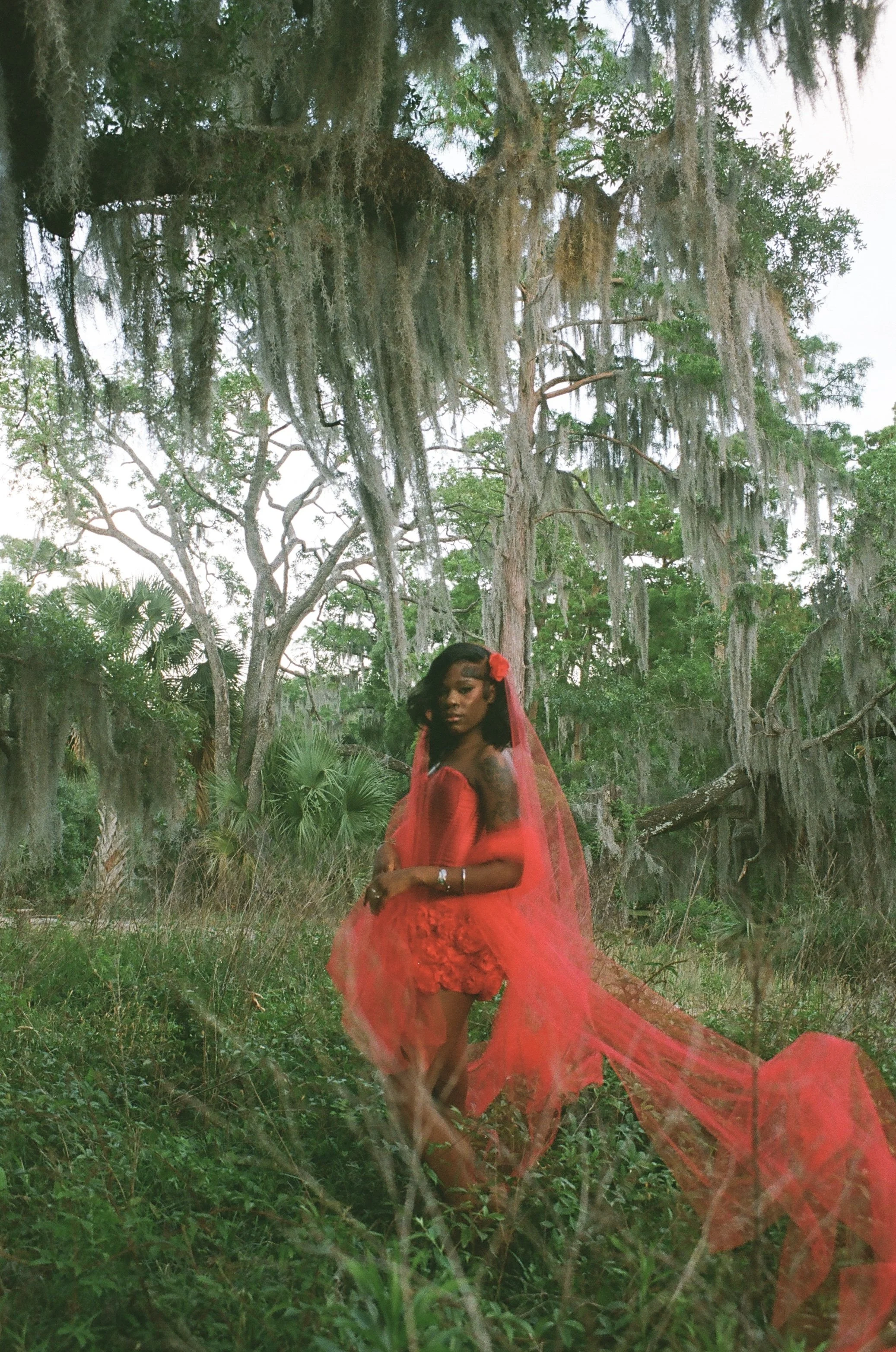 Lilli, New Orleans 2025