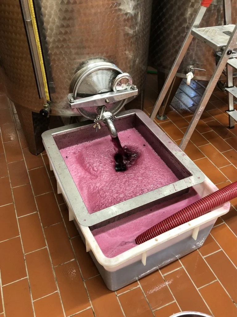 A stainless steel fermentation tank with a spout pouring purple juice into a plastic container, which contains a chromatic purple liquid with foam on top, on a brick floor.