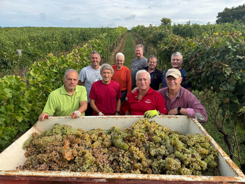 Group of people standing behind a large container of harvested grapes in a vineyard.