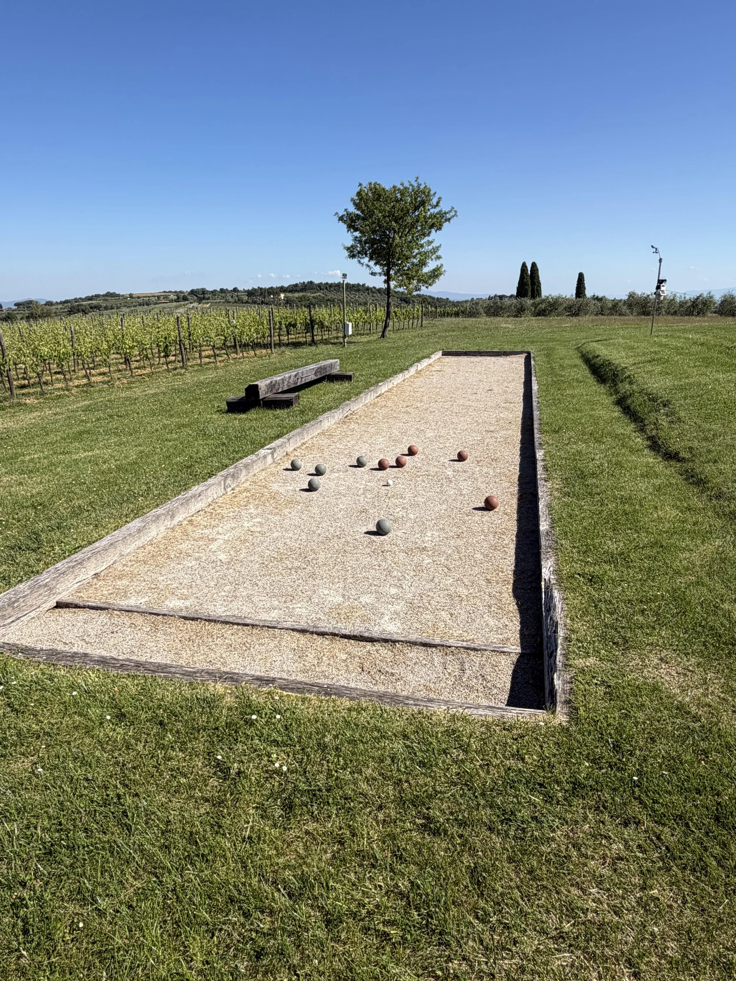 A bocce ball court with several bocce balls and a small white ball on it, surrounded by a grassy field with a bench, trees, and vineyard in the background under a clear blue sky.