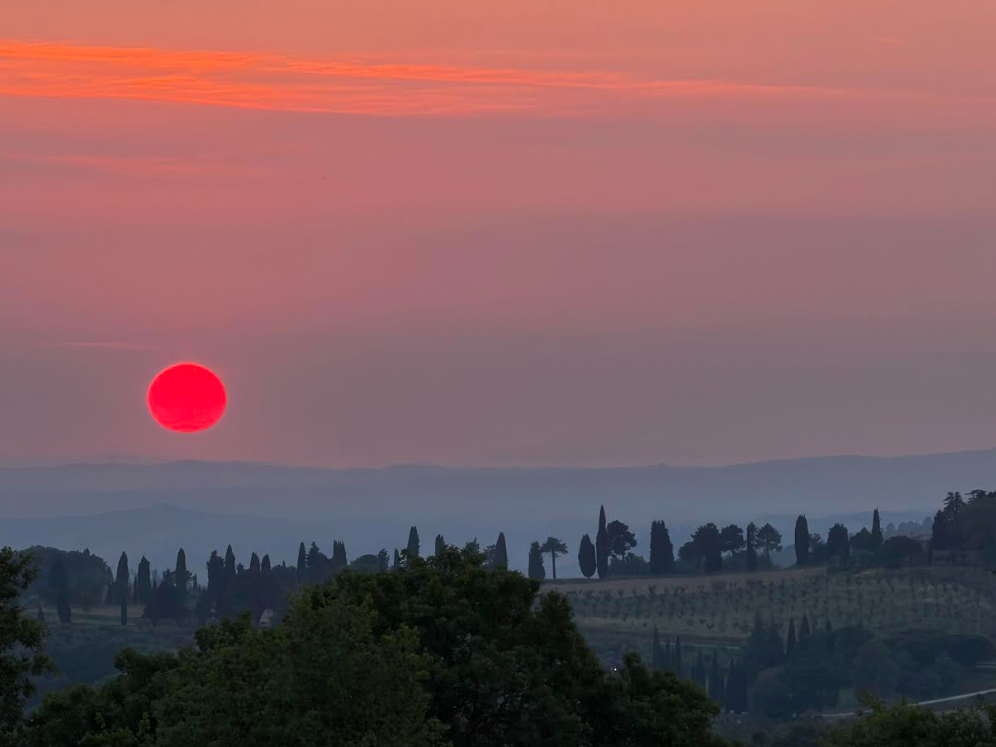 Sunset over a landscape with rolling hills and scattered trees, including cypress trees, under a pink and orange sky with a red sun near the horizon.