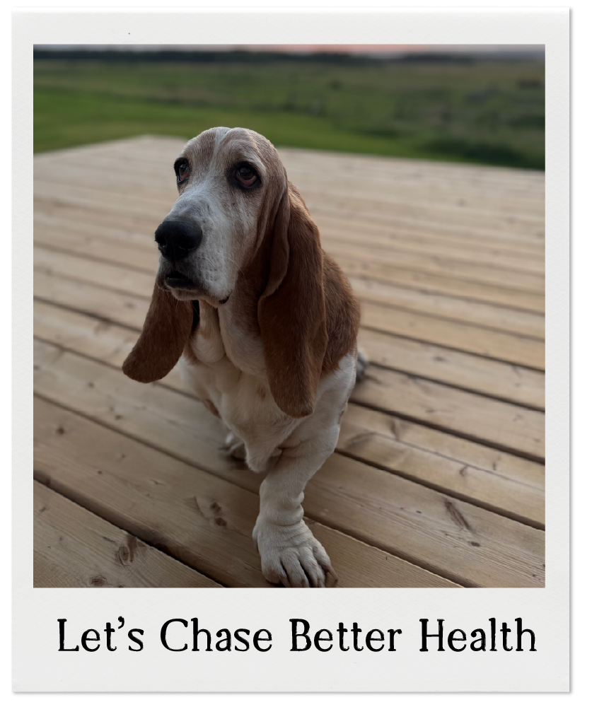 A sad-looking basset hound dog sitting on a wooden deck with a blurred green landscape in the background.