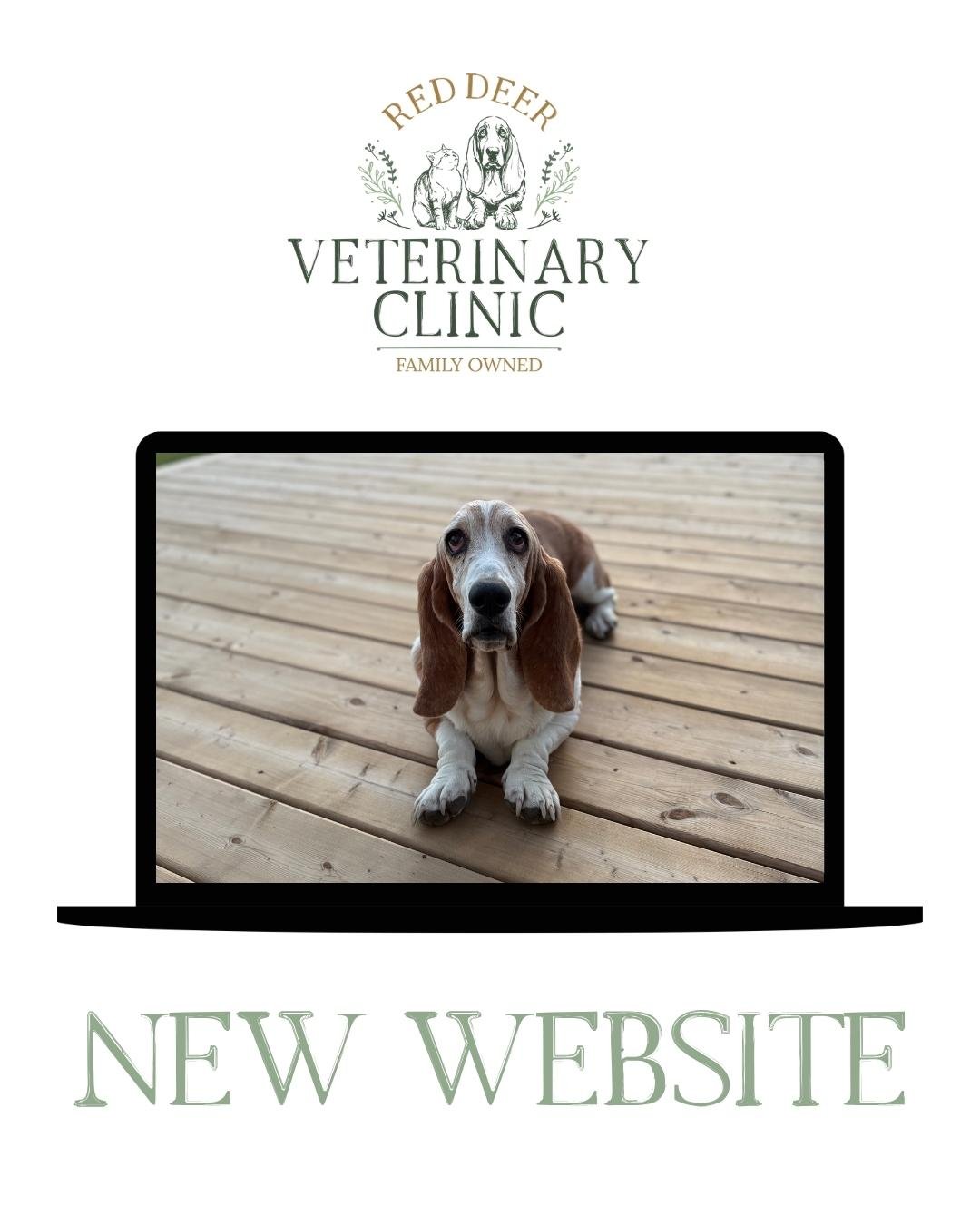New Look. New Website. Same Caring Team.