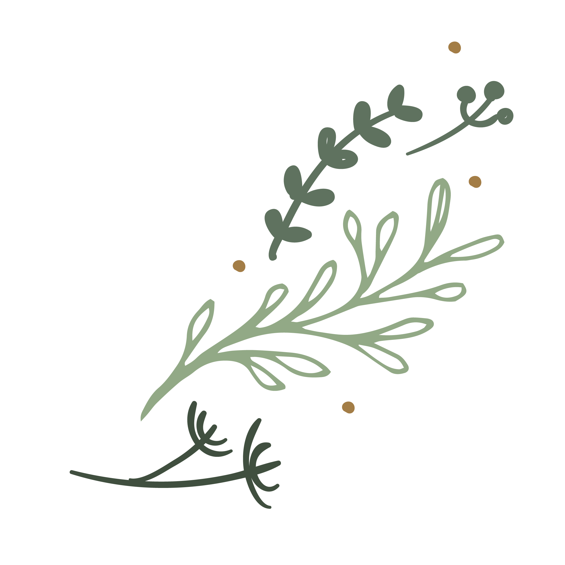 Decorative image with the word 'hello' written in cursive, surrounded by stylized green cannabis leaves and brown dots.