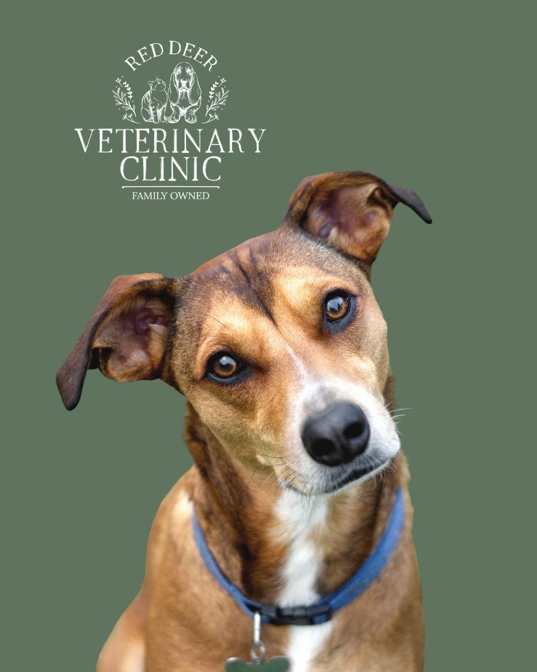 We're Welcoming New Patients – Bookings Are Open!