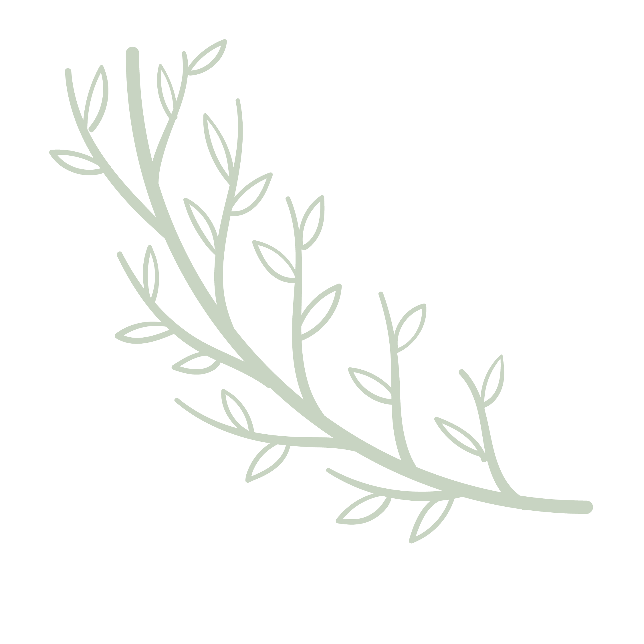 A decorative illustration of a sprig of leaves with the words "Blessed" written in cursive above it on a black background.