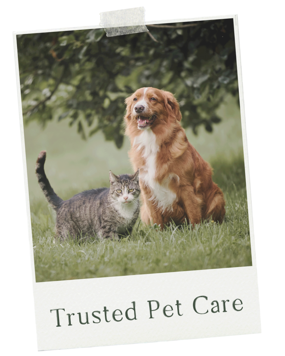 A dog and a cat sitting together in a grassy area, with the text 'Trusted Pet Care' below the image.
