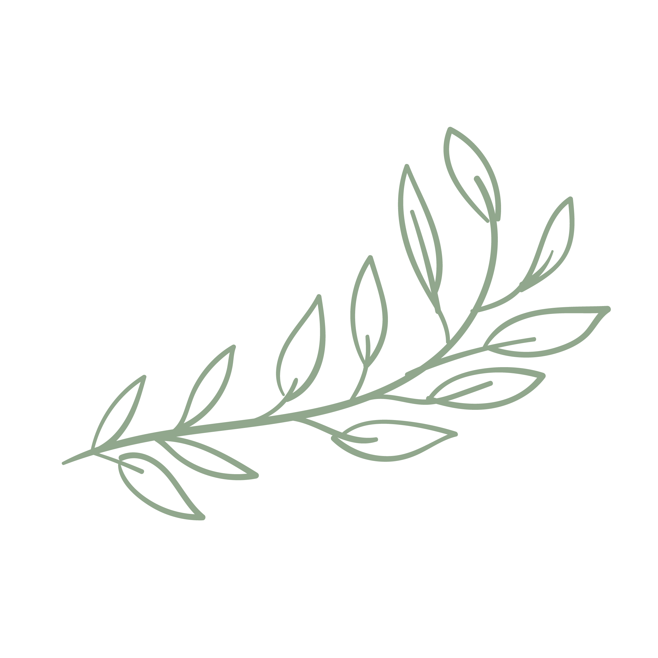 Decorative illustration of light green leaves arranged in a curved pattern on a black background.