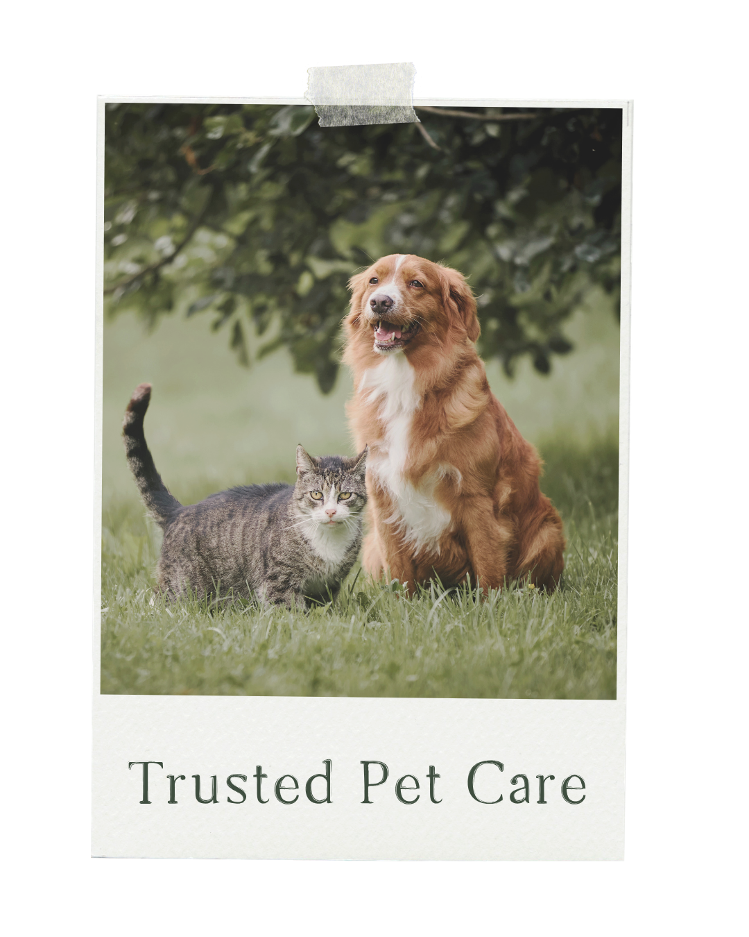 A dog and a cat sitting on grass with trees in the background, with the text "Trusted Pet Care" at the bottom.