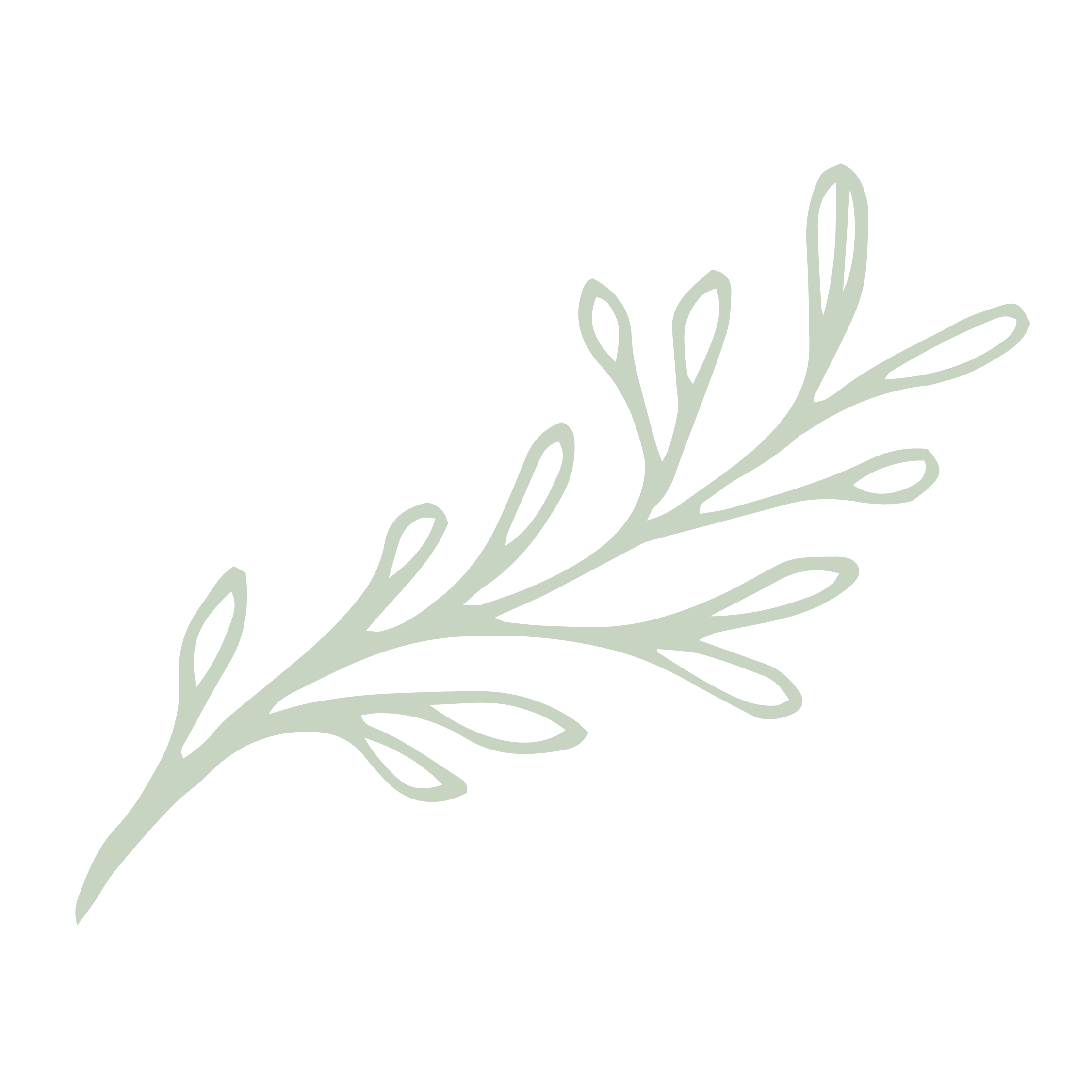 Minimalist illustration of botanical branches with elongated leaves on a black background.