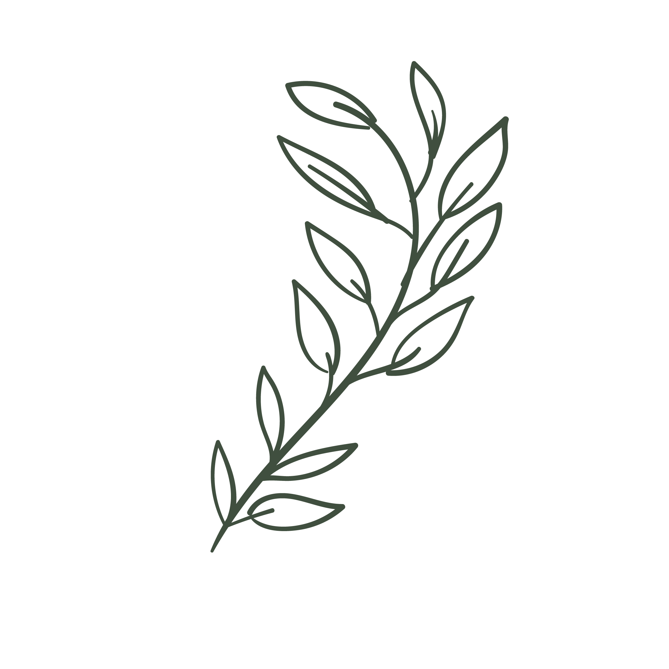 Line drawing of a plant with multiple leaves on a black background.