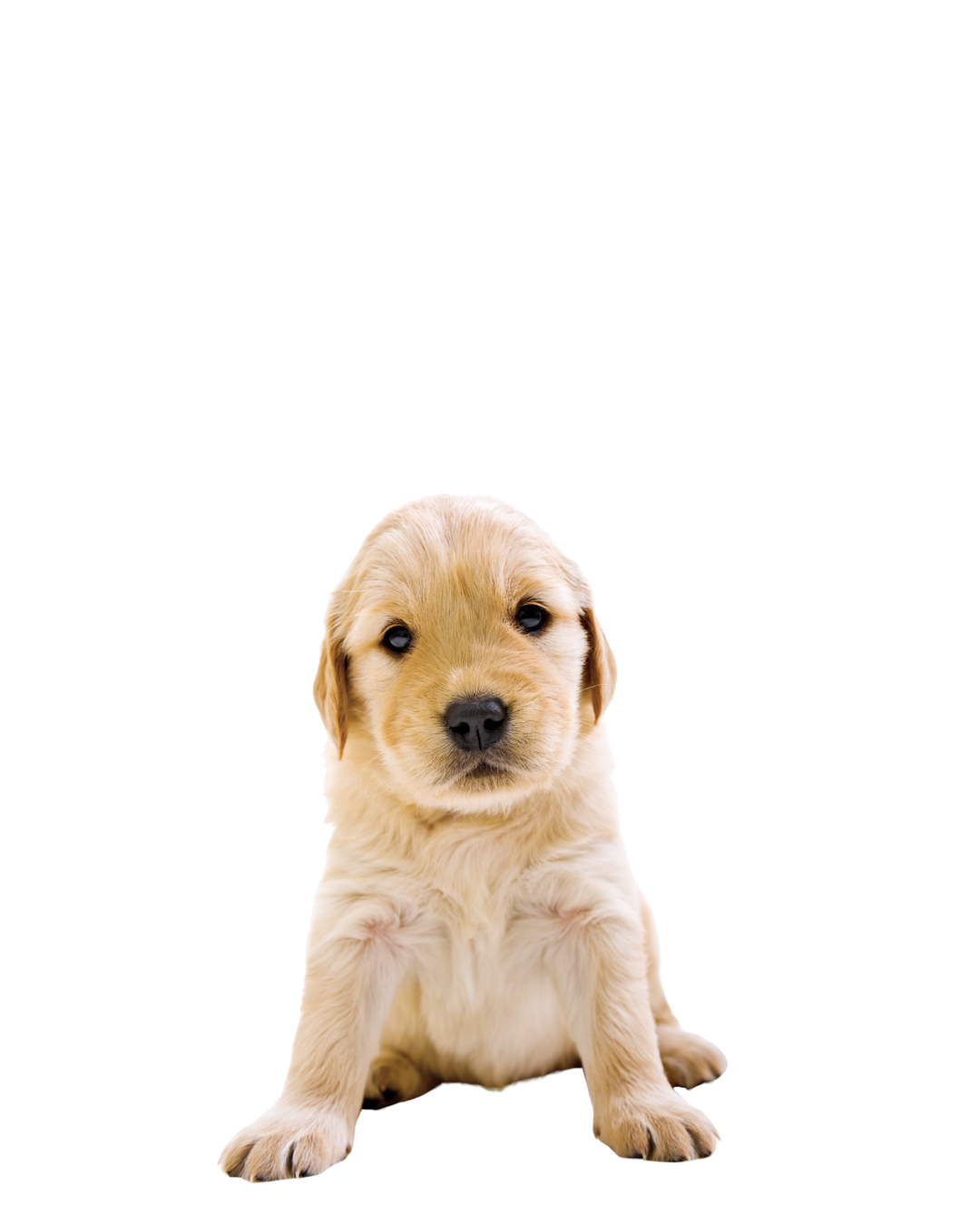 Red Deer Veterinary Clinic is a locally owned veterinary clinic