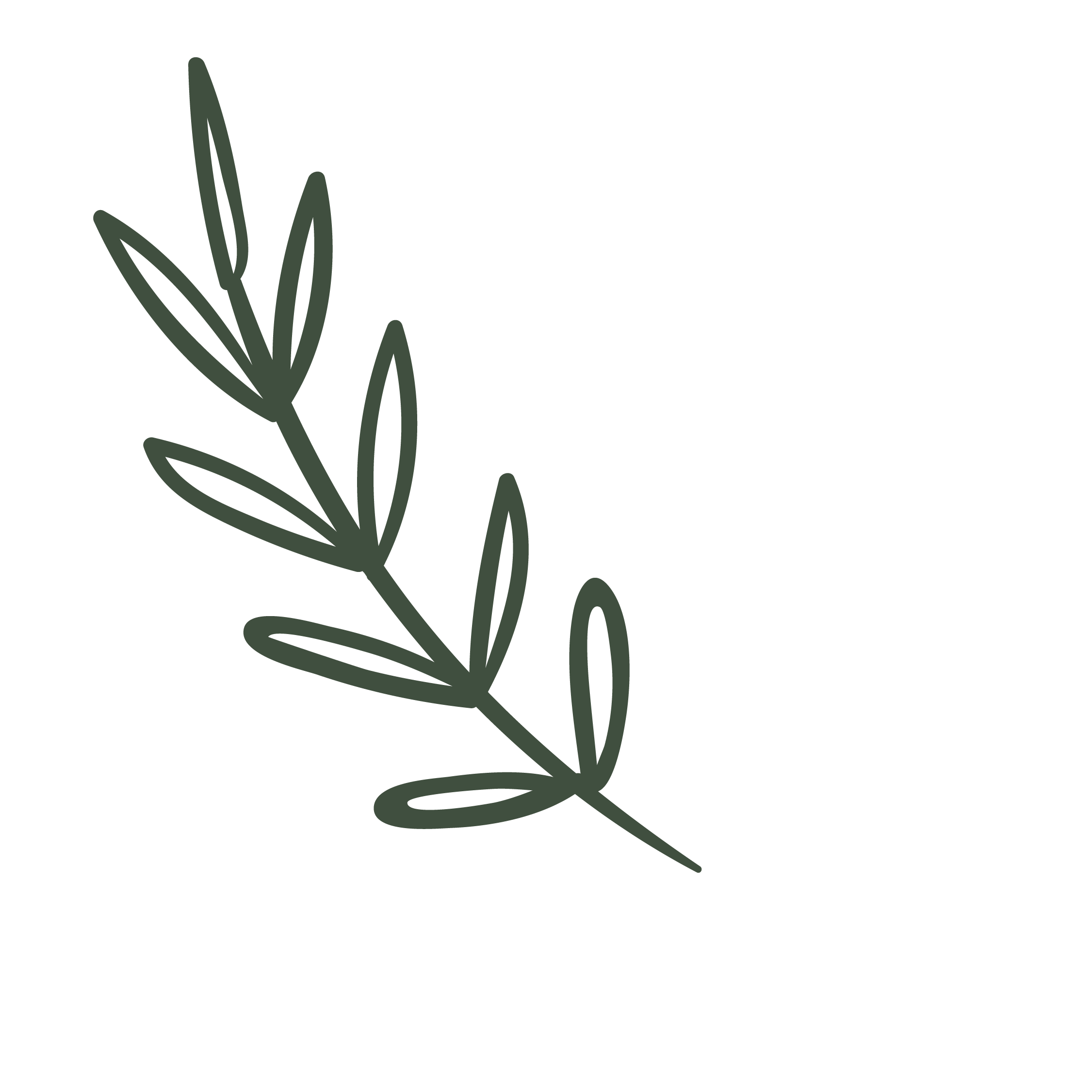 Outline of a branch with leaves on a black background