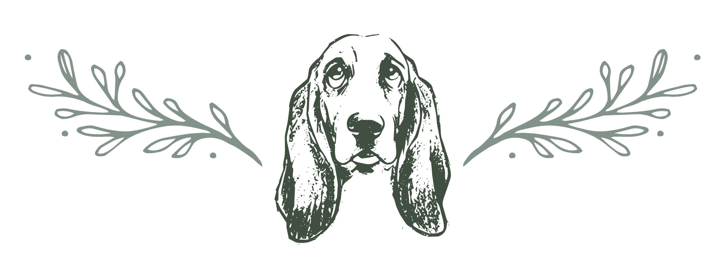 Red Deer Veterinary Clinic is a locally owned veterinary clinic providing compassionate, personalized care for dogs and cats in Red Deer and surrounding communities.