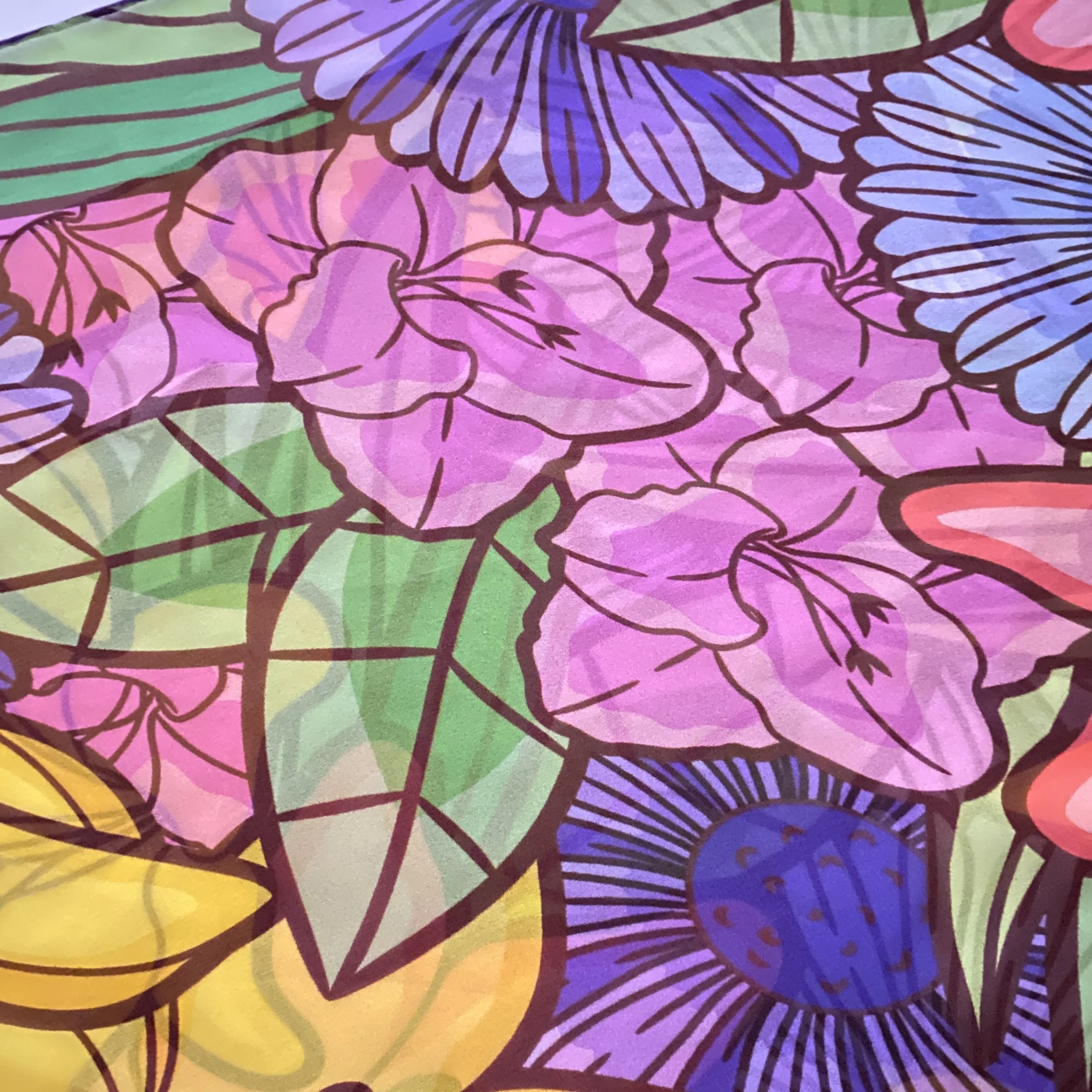FOH_SC_Close up_Final_062026.jpg