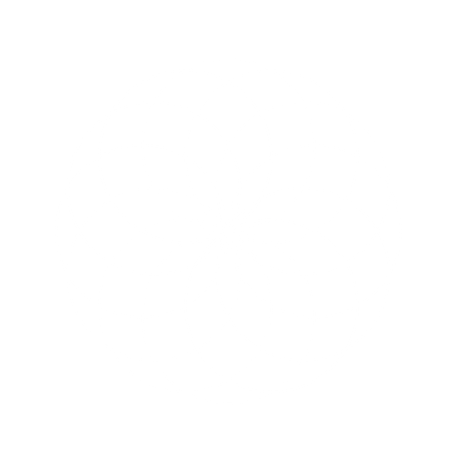 A geometric pattern of overlapping white circles forming a symmetrical floral motif on a black background.