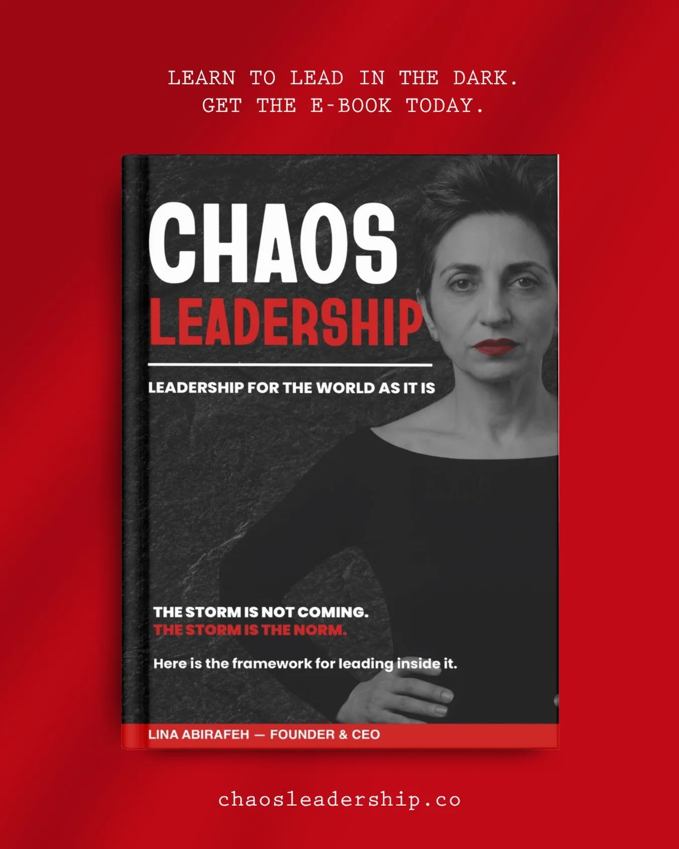 Panic in the C-suite rarely looks like chaos. Usually, it disguises itself as analysis.⁣⁣ ⁣⁣ ⁣
⁣
When massive disruption hits, executives stall. They retreat to boardrooms and demand a 100% clear picture before committing to a strategy. ⁣⁣ ⁣⁣ ⁣
⁣
BUT