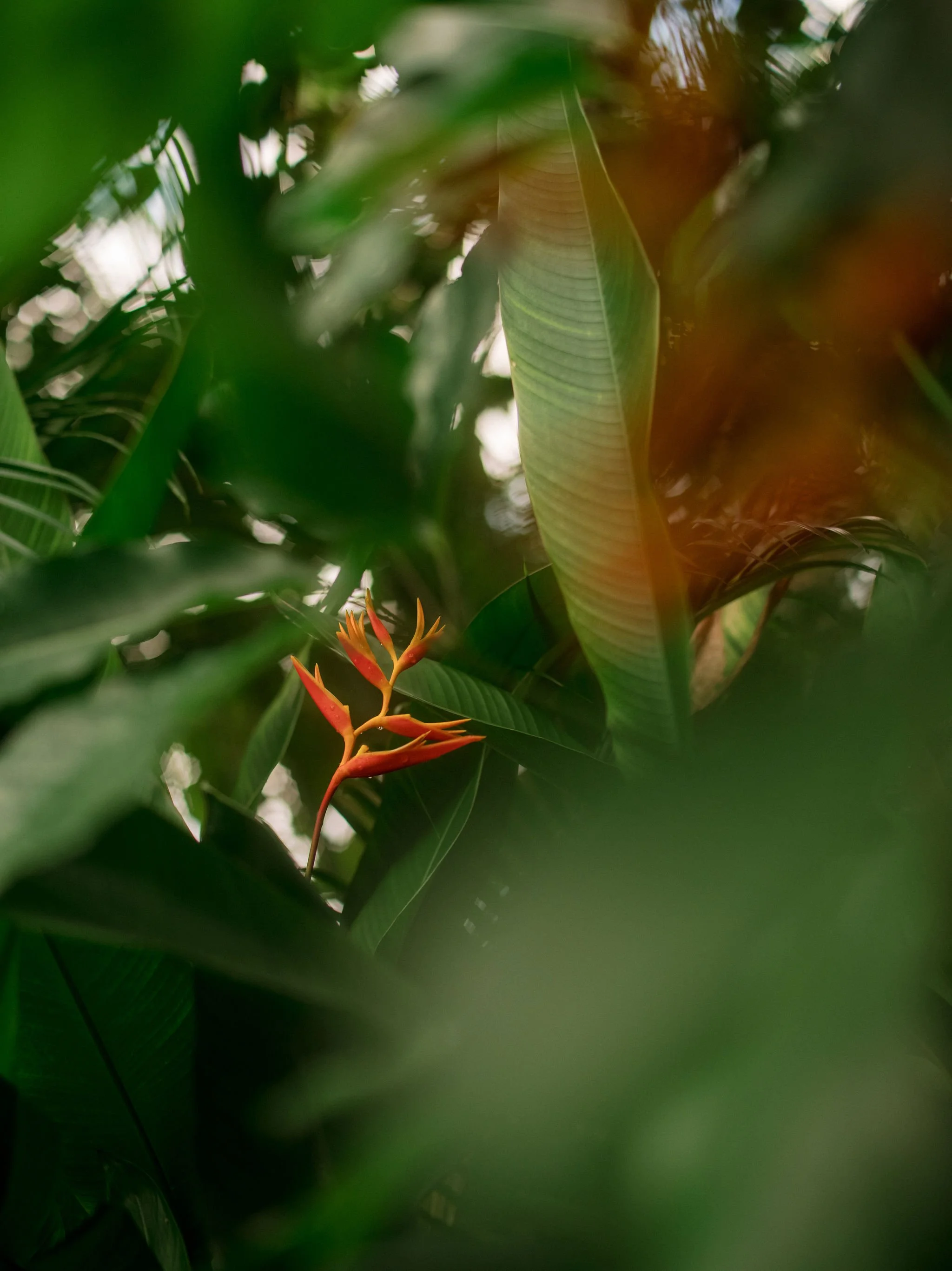 DSCF1148.jpg
