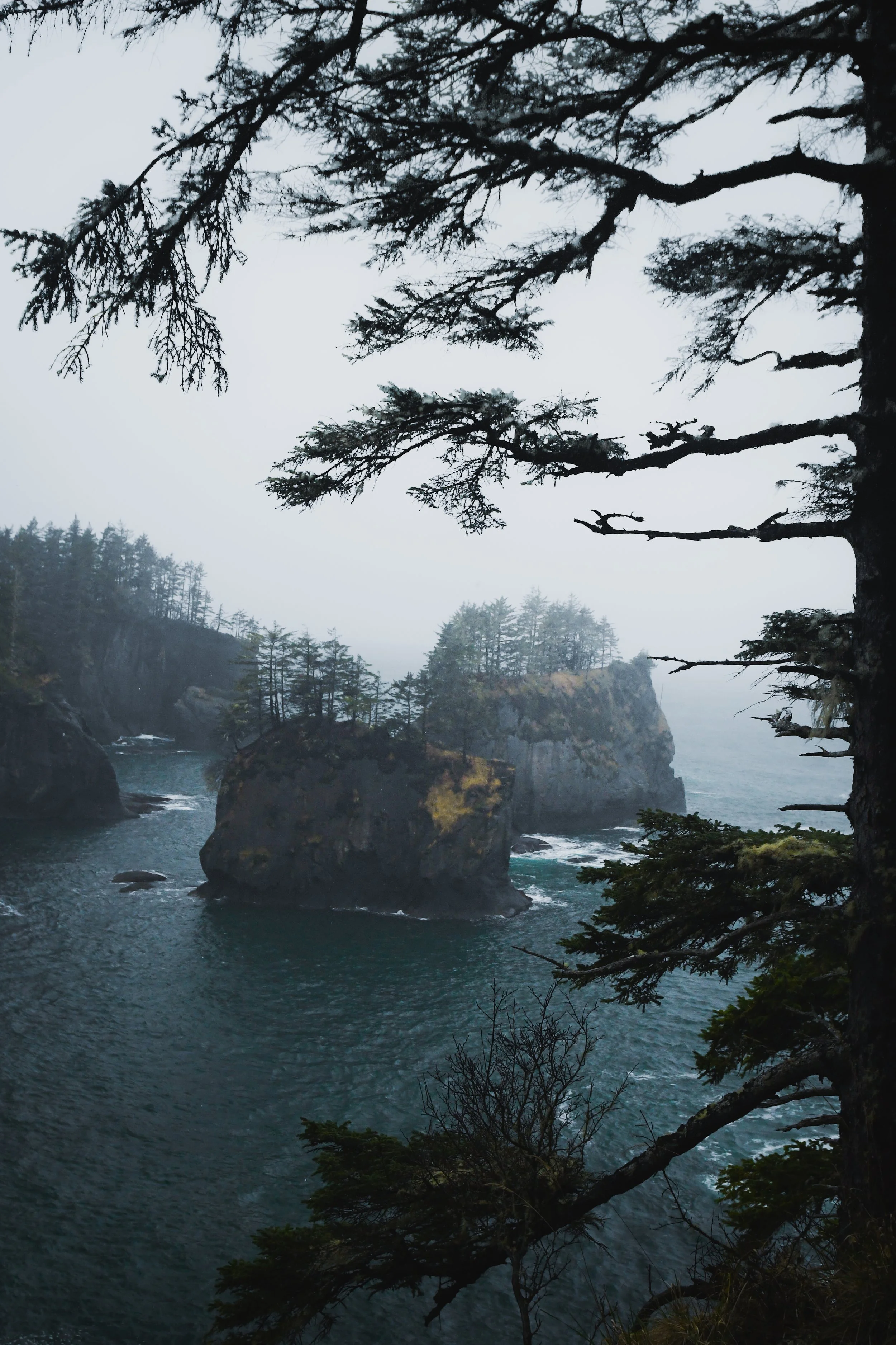 cape-flattery-olympic.jpg