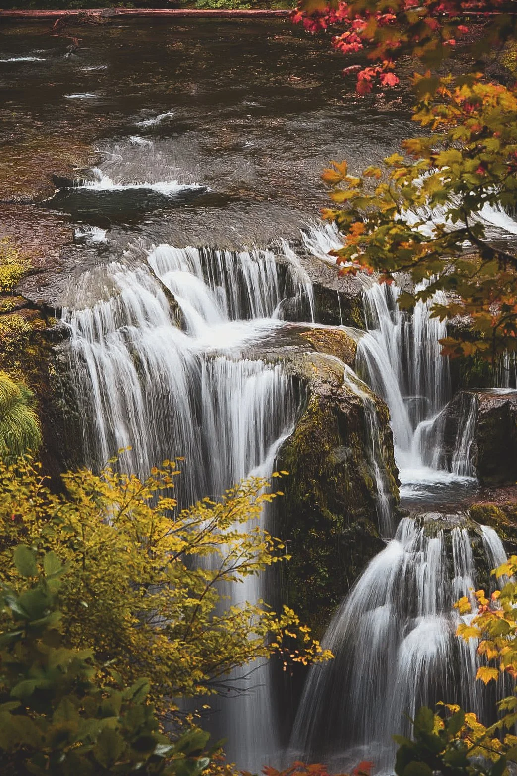 WashingtonLewisriver3.jpg