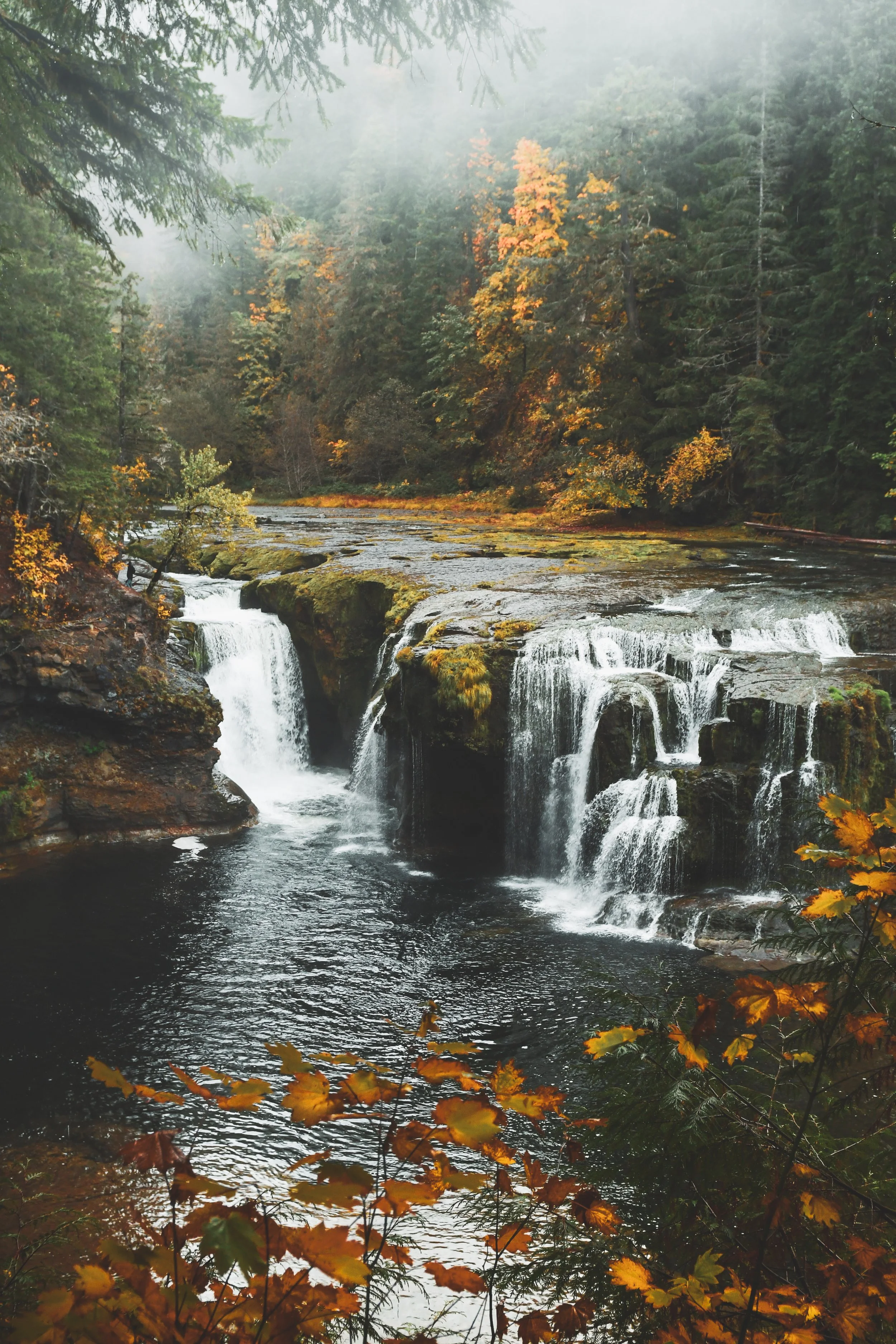 WashingtonLewisriver4.jpg
