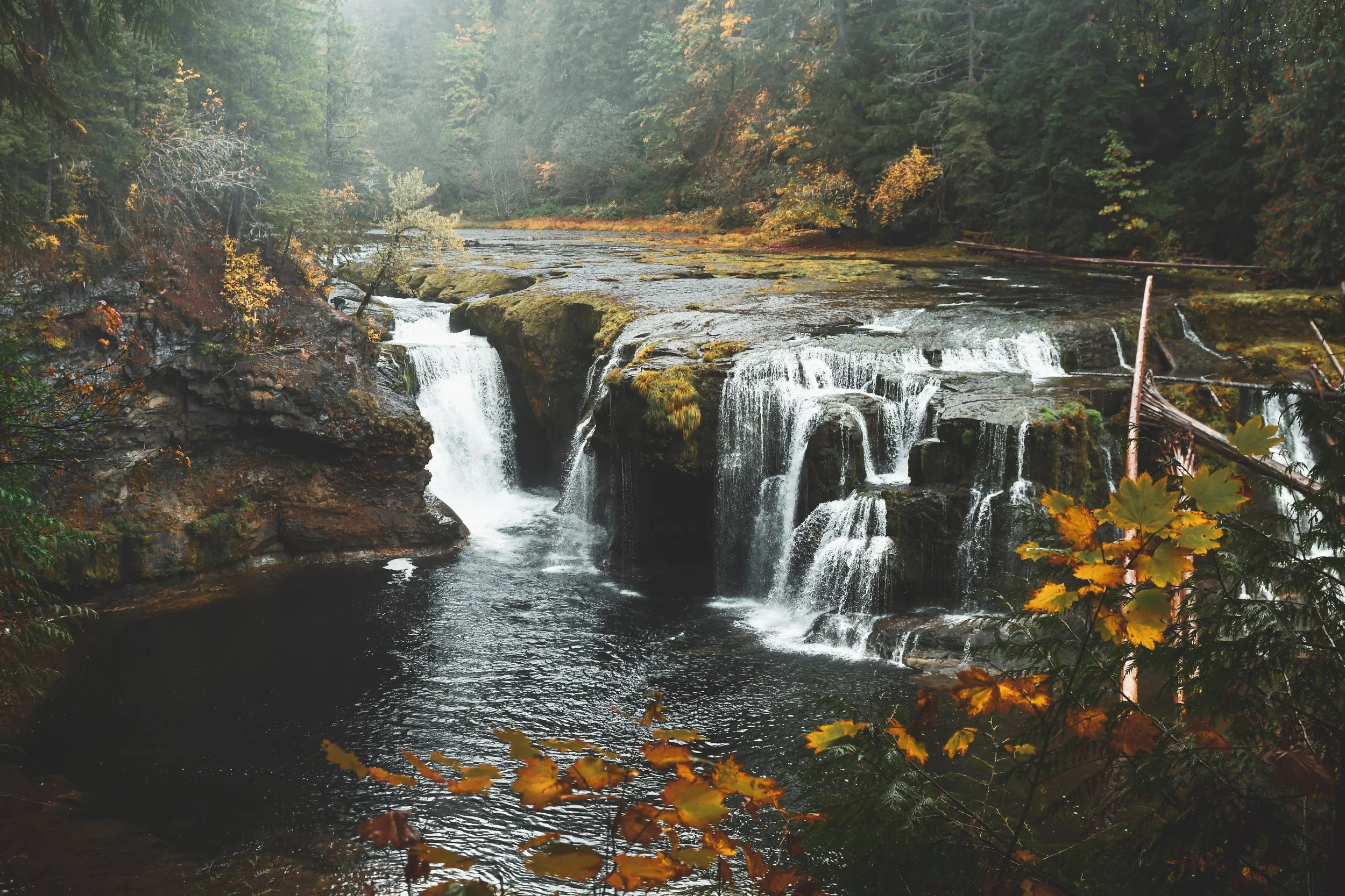 Chasing Fall Along the Lewis River