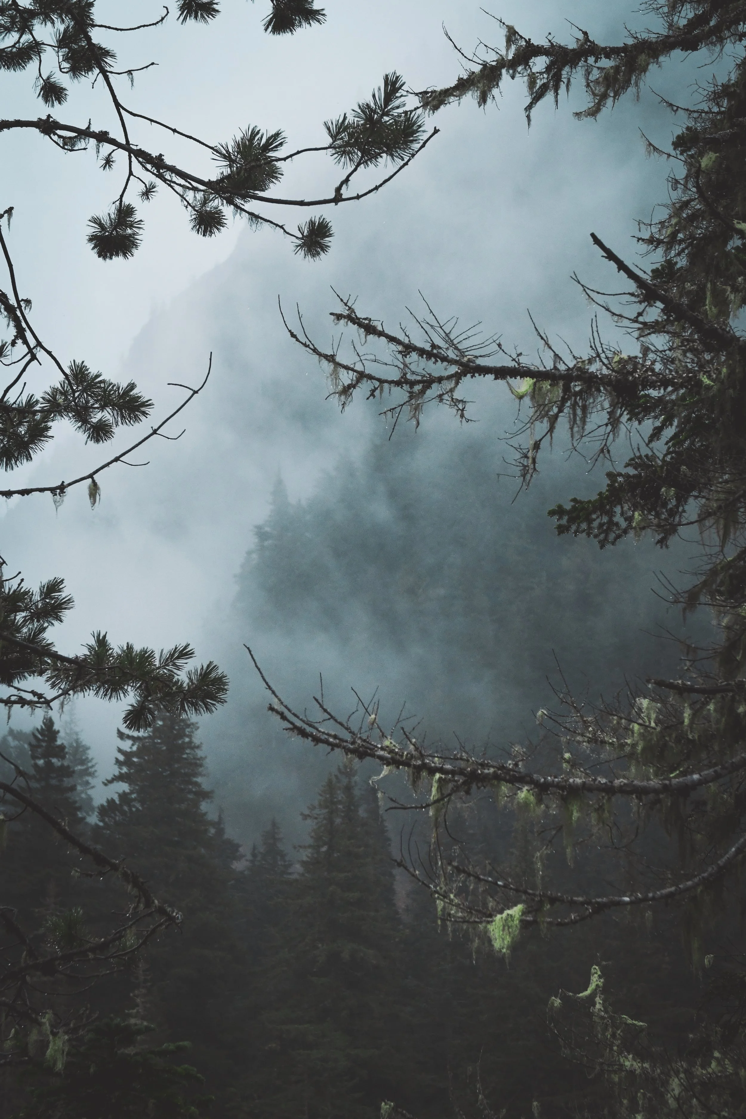 Mount Rainier 1.jpg