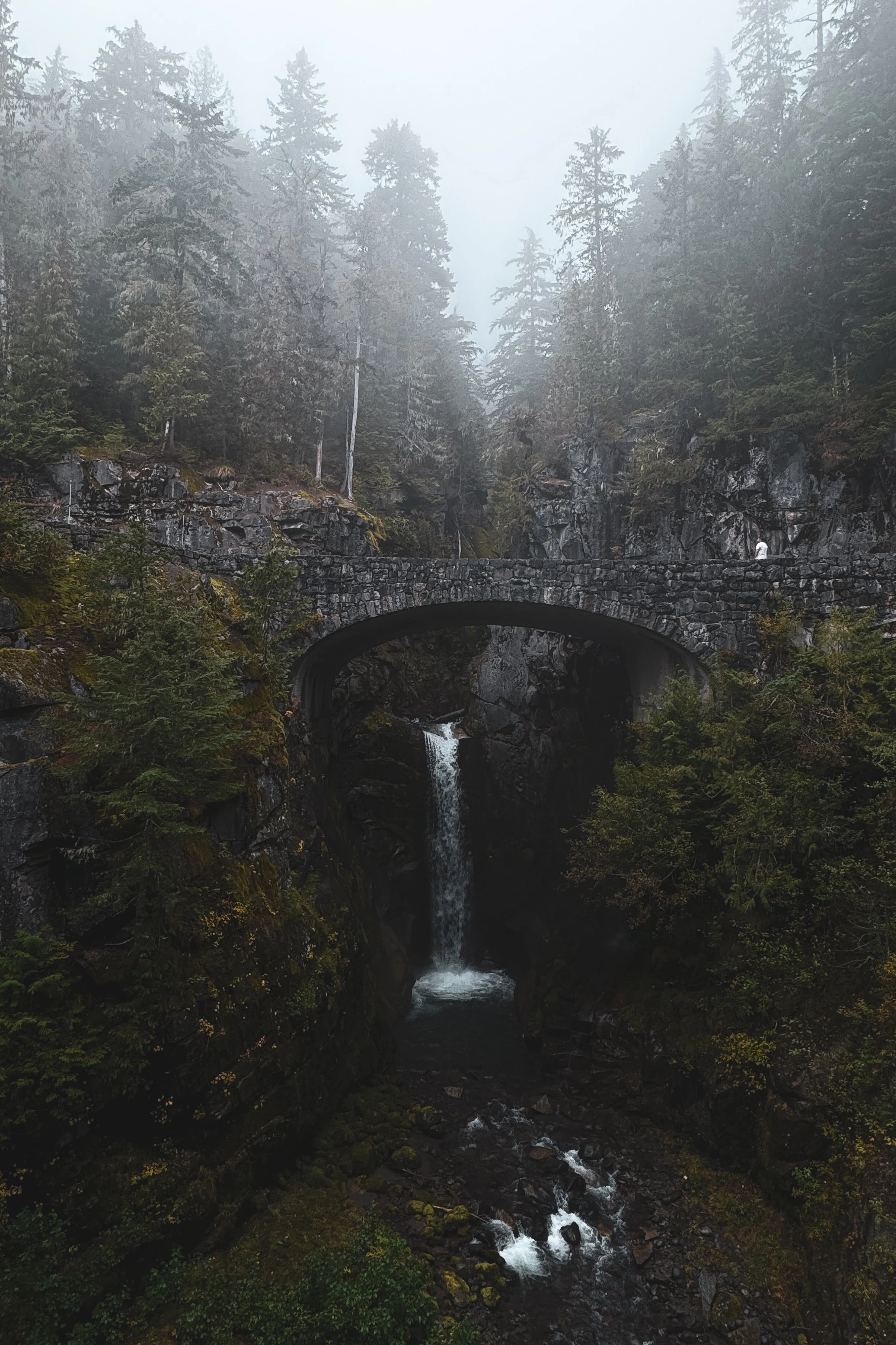 Mount Rainier Christine Falls in the Fog