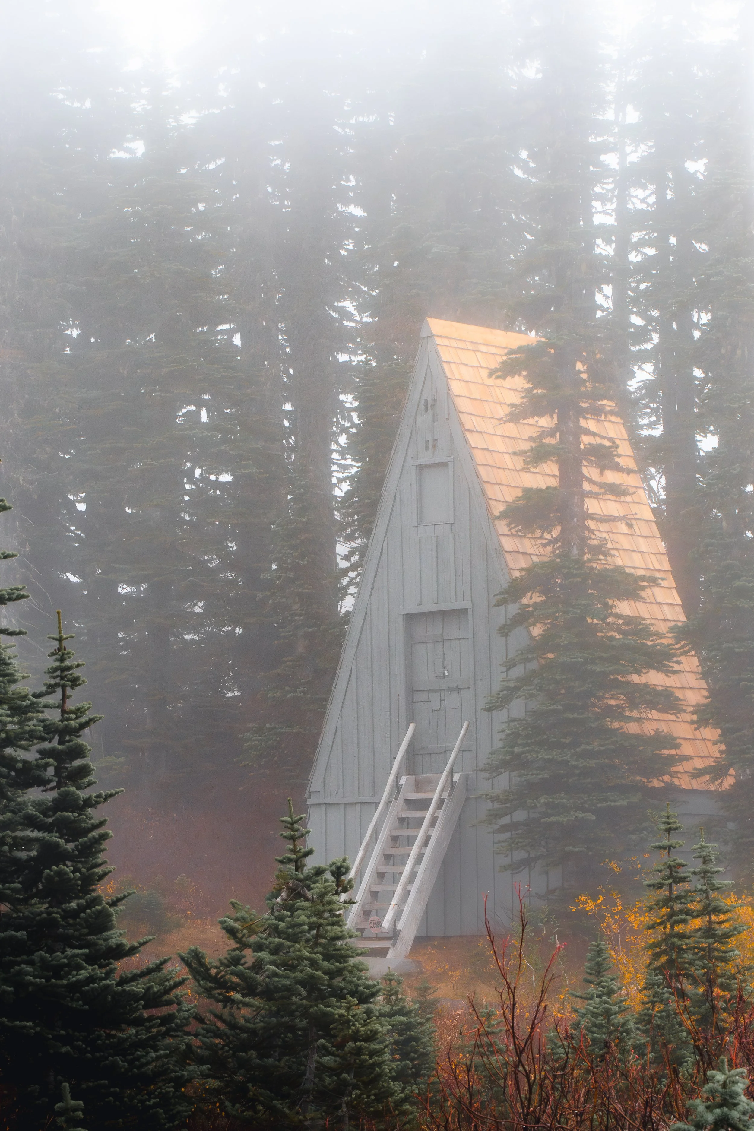 Mt Rainier 9.jpg