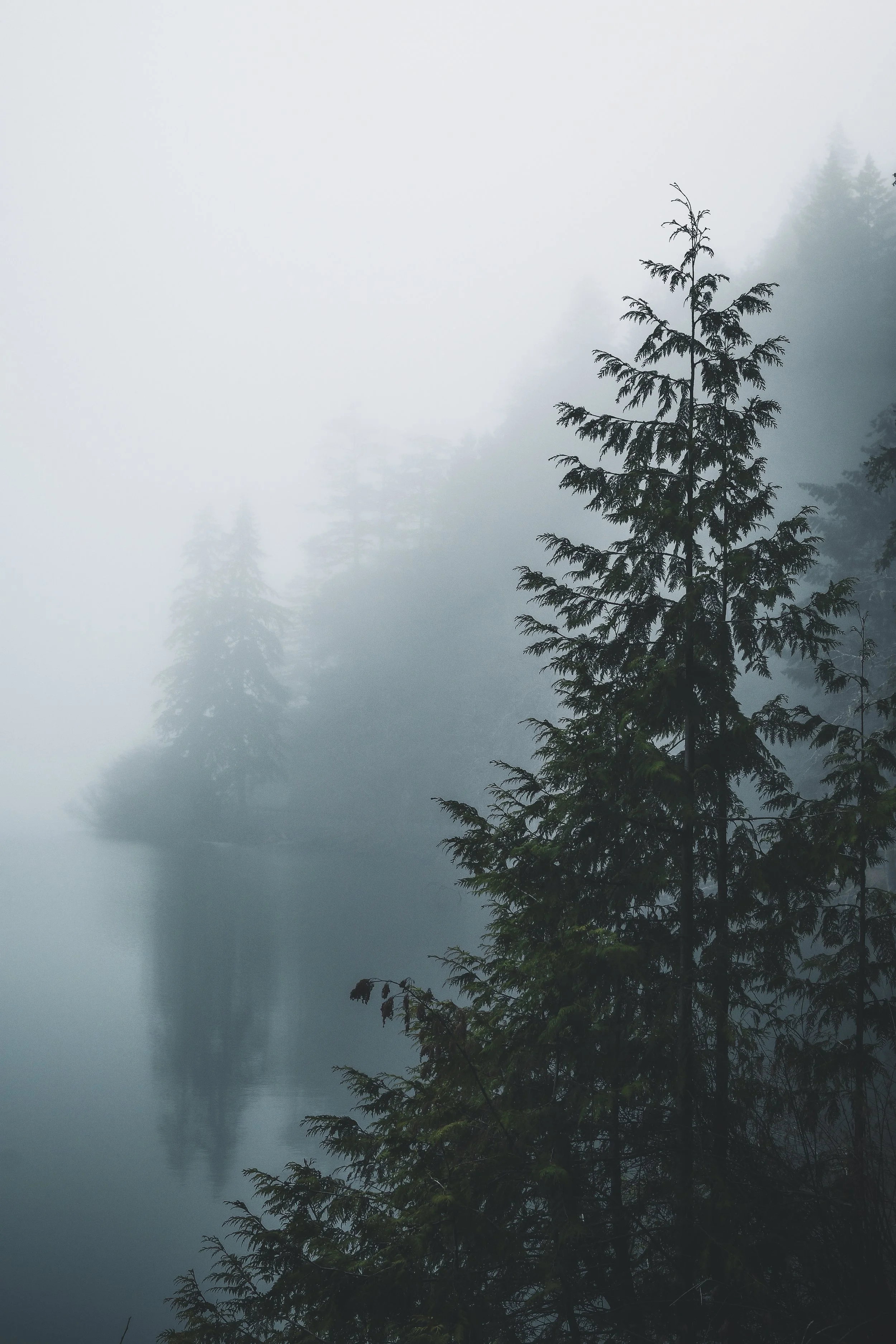 OlympicNationalPark.jpg