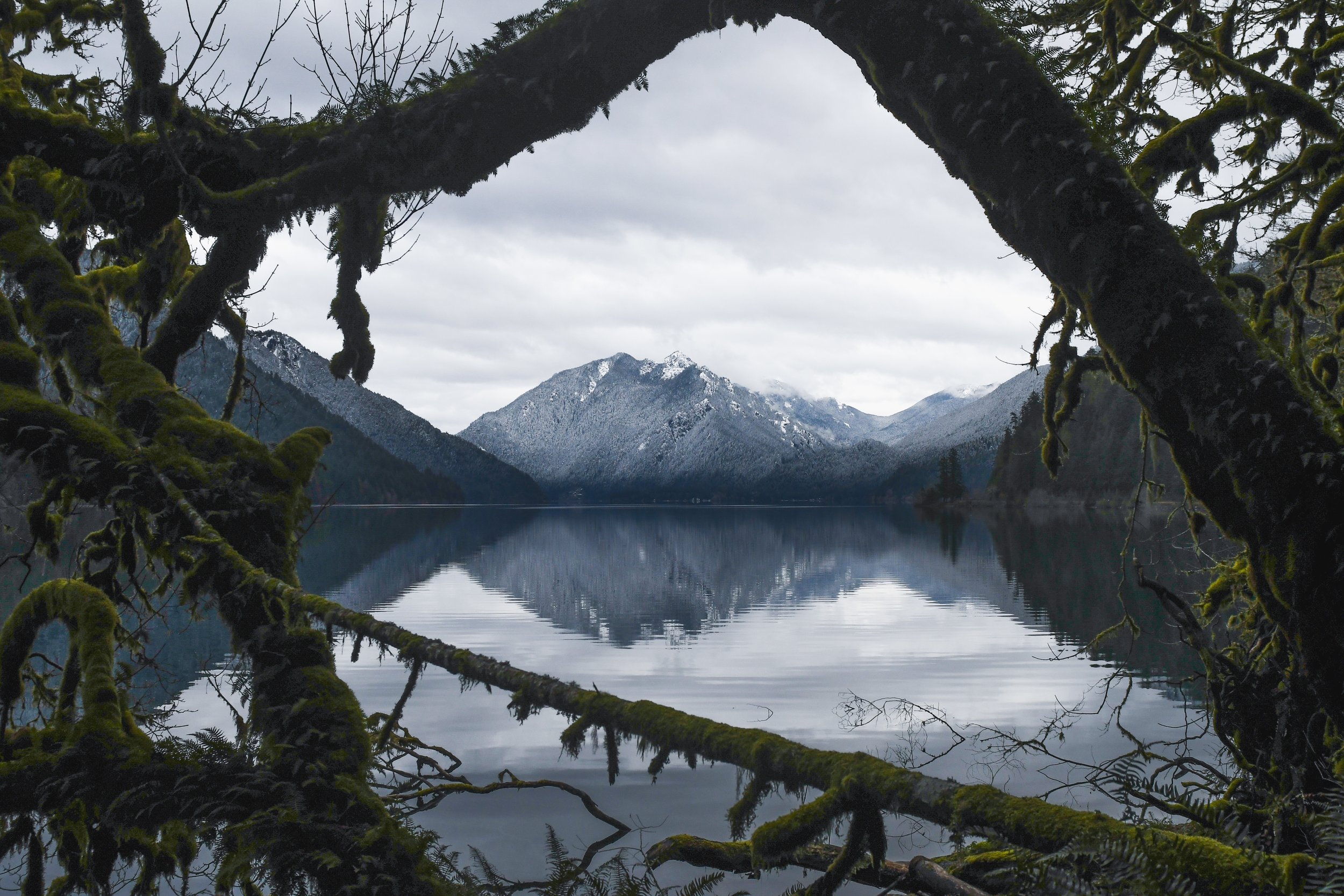 Worth the Drive: 7 Places to See on the Olympic Peninsula