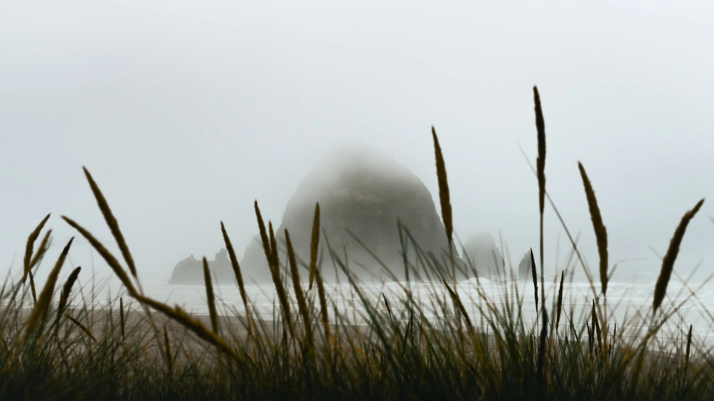 Haystack Rock in Cannon Beach covered in fog viewed through tall grass.