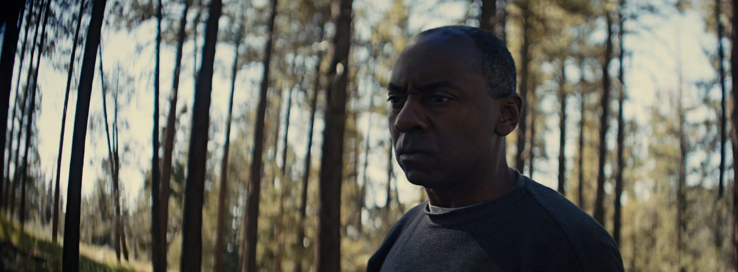 A man with a serious expression standing in a forest with tall trees and dappled sunlight.