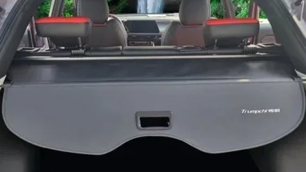 View of the back of a vehicle showing the cargo area and headrests of the rear seats.