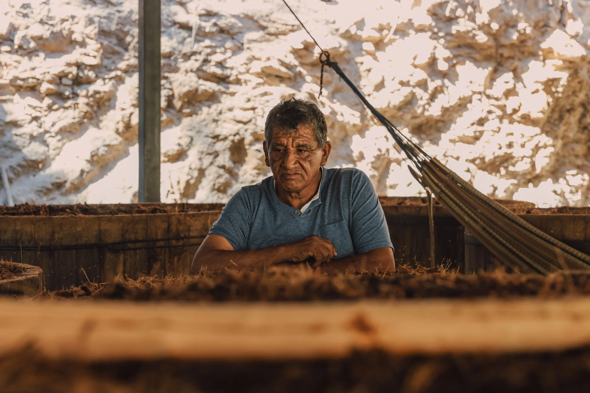 5. Del Suelo.jpg