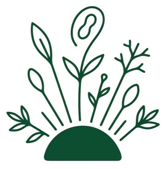 Seedlings Collective
