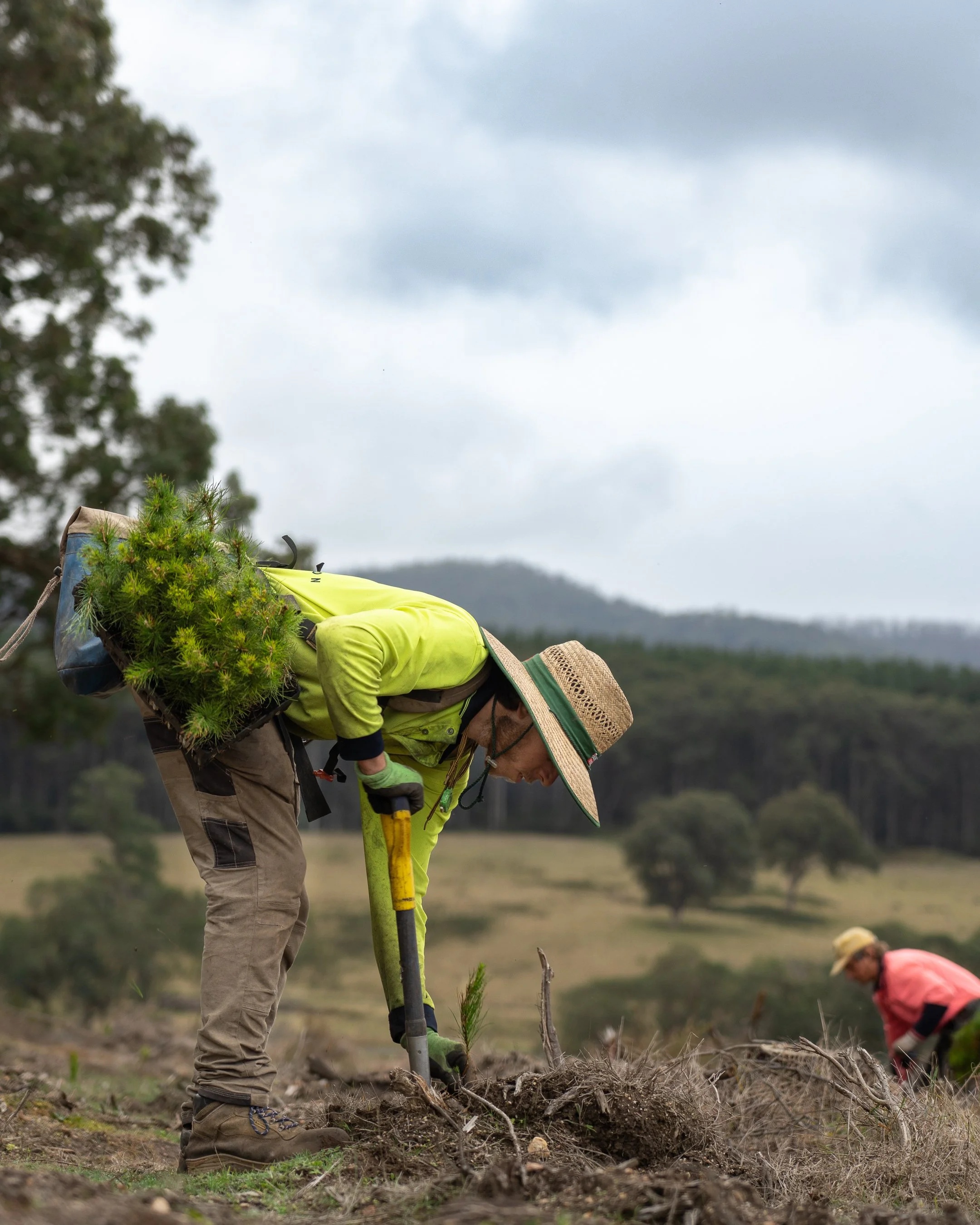 PacificReforestation-126.jpg