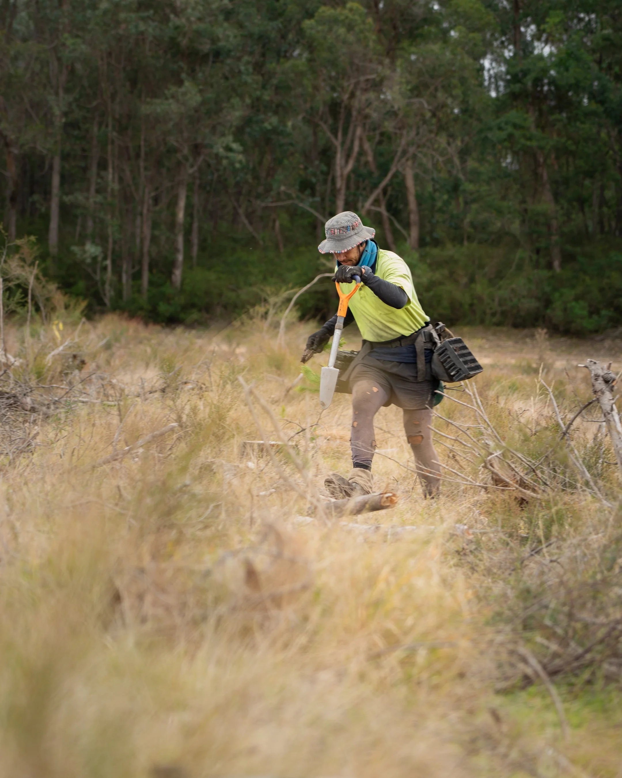 PacificReforestation-109.jpg