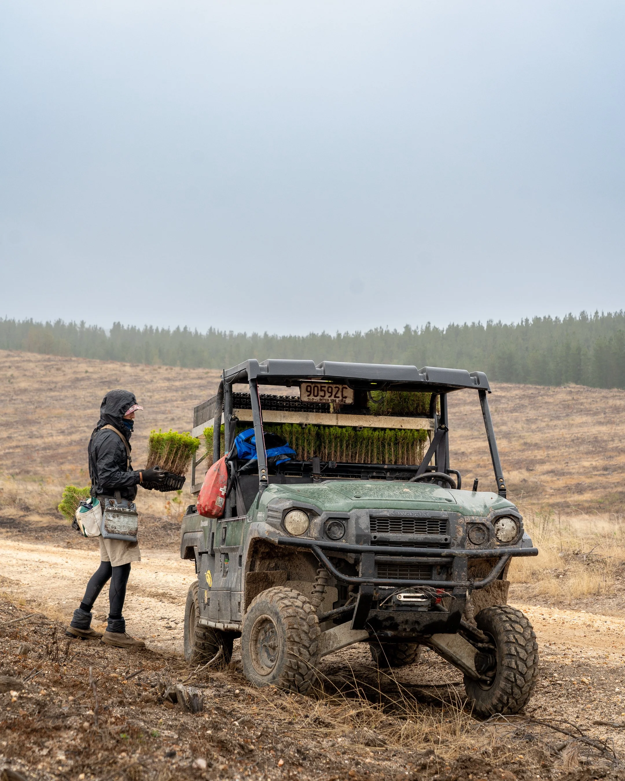 PacificReforestation-73.jpg