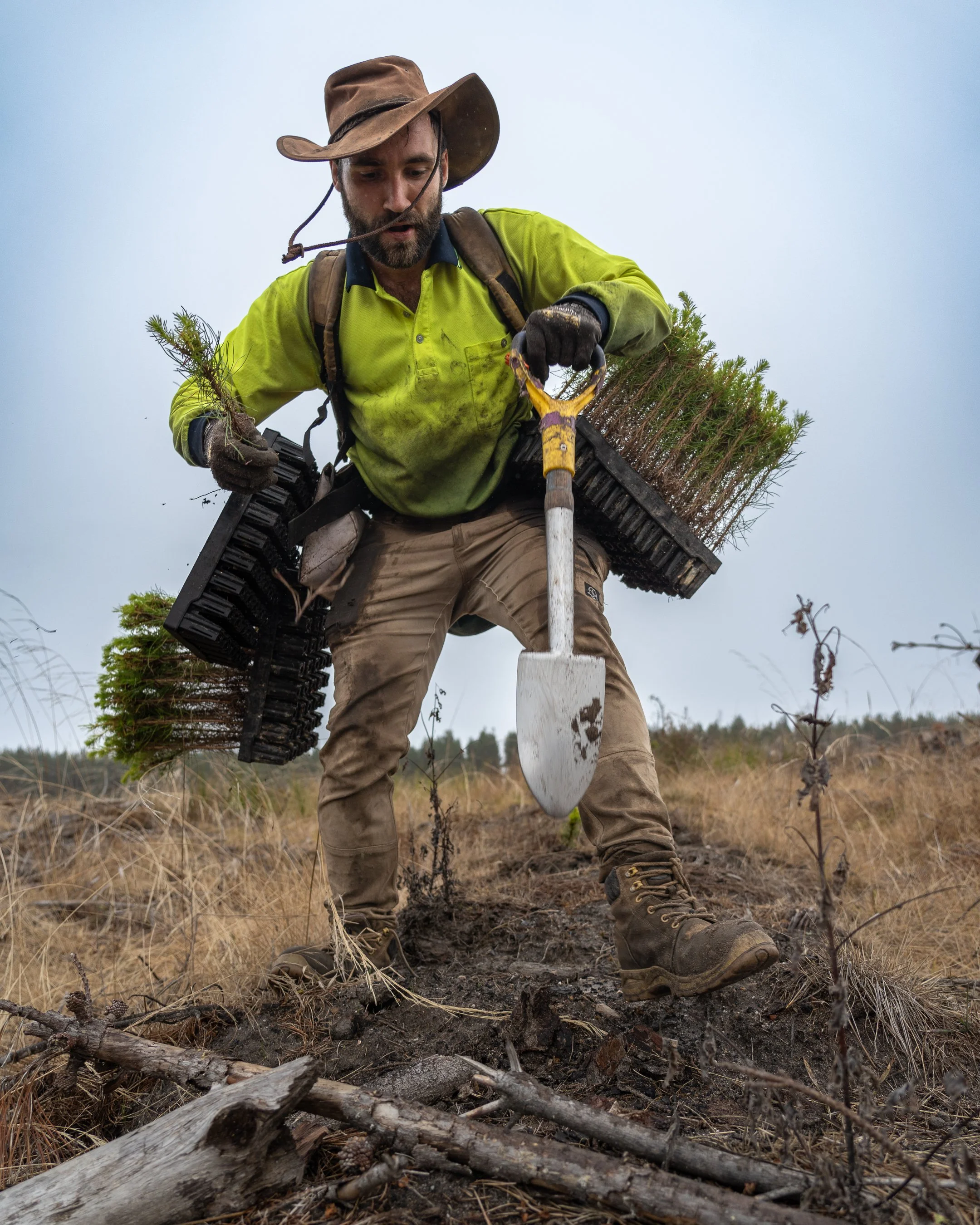 PacificReforestation-68.jpg