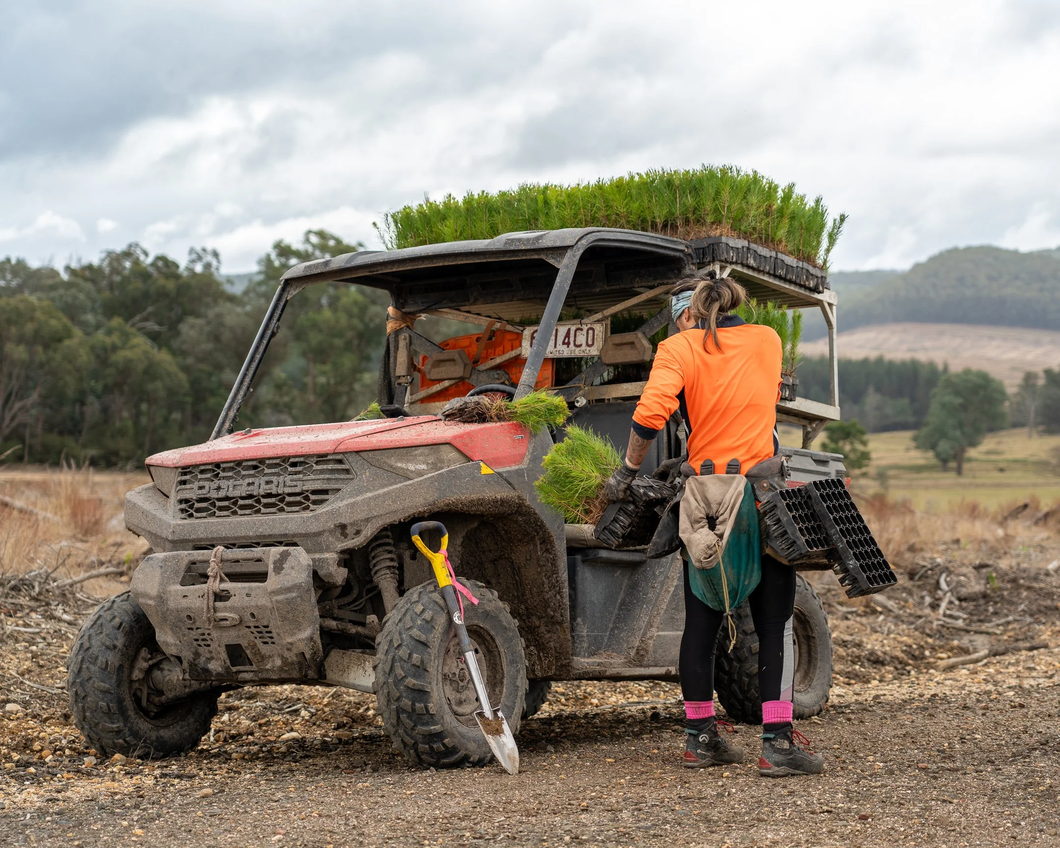 PacificReforestation-165.jpg